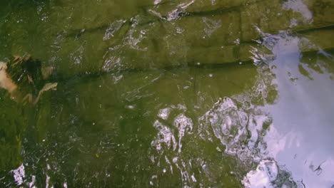 mujer nadando en un río