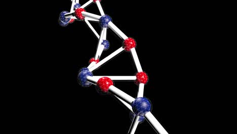 dna looping animation