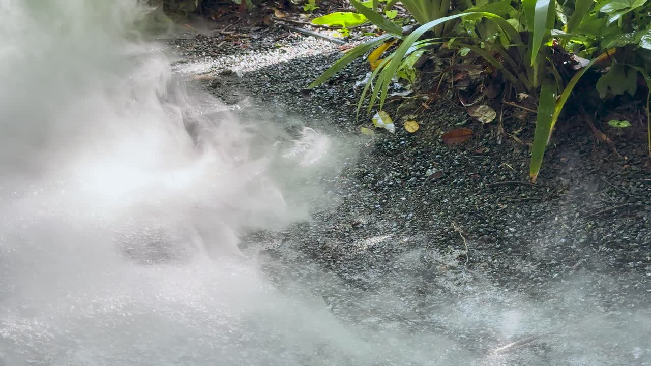 Thick mist flows across gravel path beside lush green plants in natural park setting