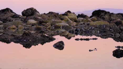 Calm-peaceful-morning-sunrise-over-still-tide-pool-seascape-weathered-rocks-coastline-at-low-tide