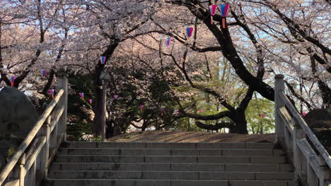 在阿蘇卡亞馬公園散步的女人