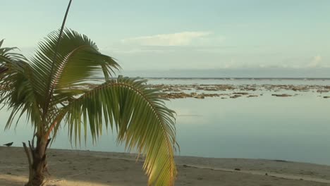 Stock-Footage-Tropische-Insel