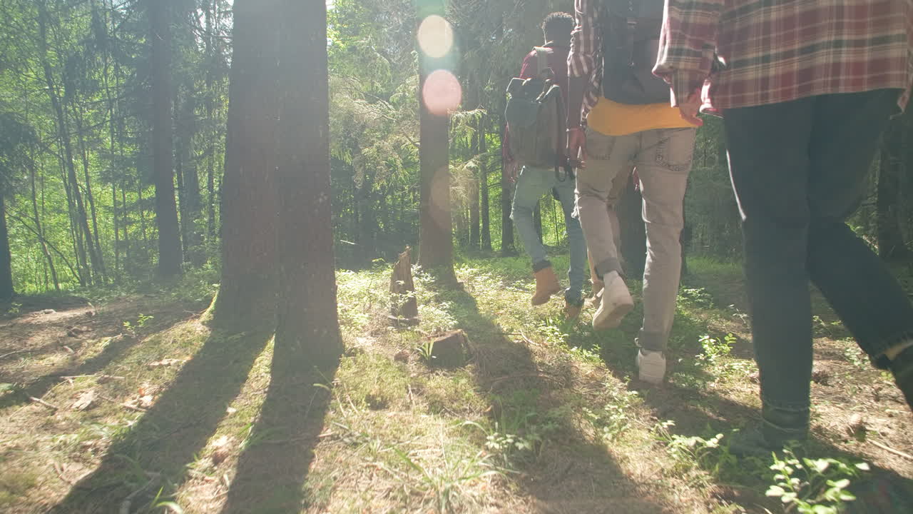 Friends Hiking in the Forest
