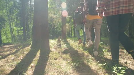 amigos haciendo senderismo en el bosque.