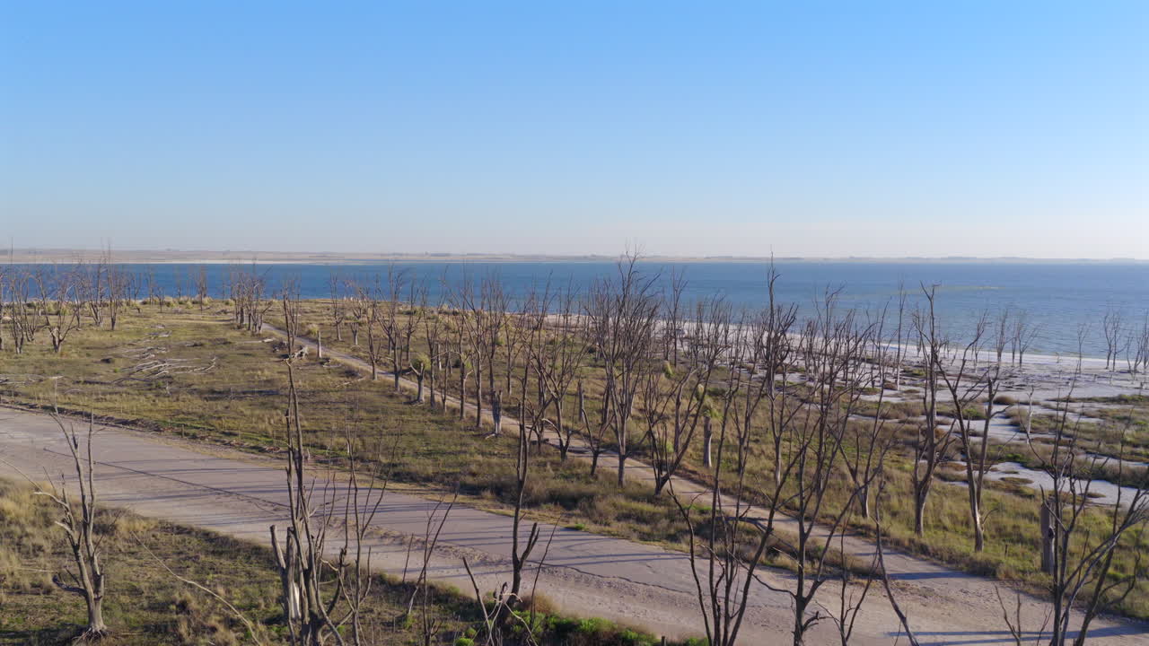 Vista aerea dall'alto dei resti calcinati e pietrificati degli alberi e delle infrastrutture allagate che si ergono contro le acque blu intenso, sature di sale della Laguna Epecuén, Buenos Aires, Argentina