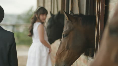 a boy in a suit and a girl in a white dress, dressed as pageboys, gently pet two horses from a stable window.