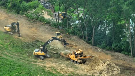 heavy machinery cutting down trees