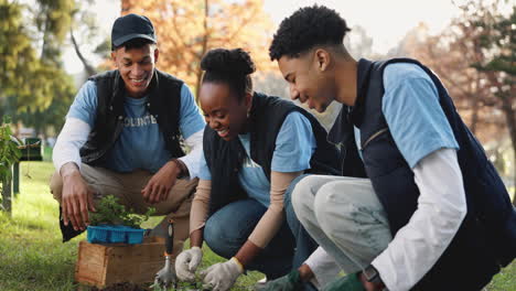 friends volunteer together planting trees in a park