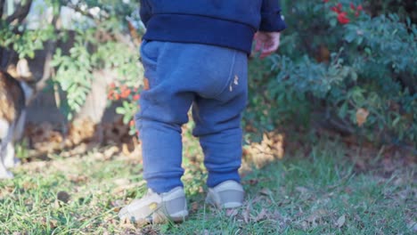 toddler cute baby boy making first steps outside playing in the backyard