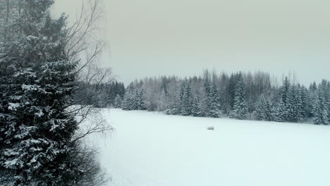 snowfall in picturesque pure white snowy landscape, drone dolly out