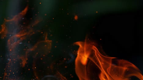 beautiful burning fire. burning firewood in the fireplace close up