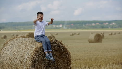 boy walking in field. adorable preschooler boy walking happily in field