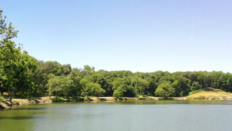 aerial view of lake flying through trees in a park