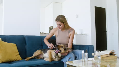 dog and woman at home