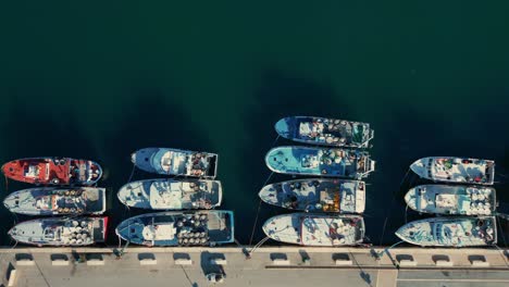 fishing boats moored next to each other at the quay with long shadows in the green sea