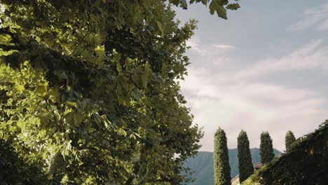 caminar de ensueño bajo árboles y hojas en un lugar mediterráneo en un camino de vegetación en la entrada lateral de la famosa villa balbiano en el lago como italia mirando hacia arriba