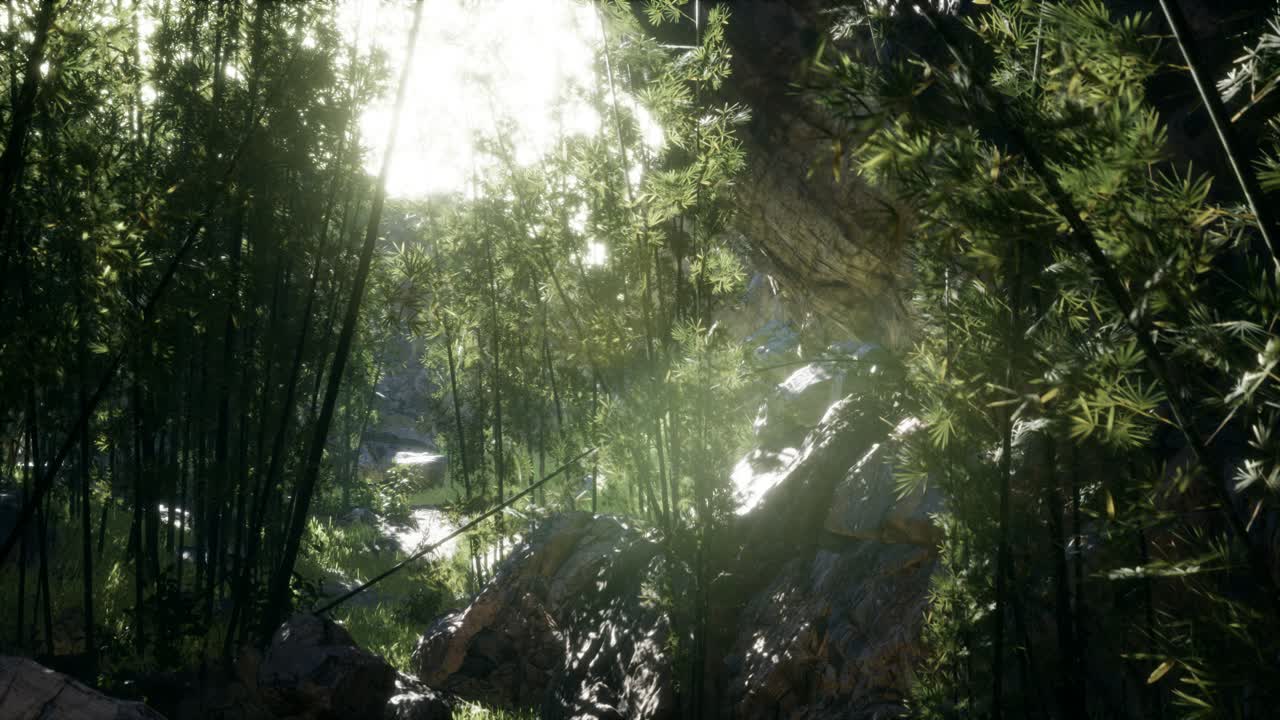 돌이 있는 연못의 연안 근처에 있는 울창한 초록색 대나무 잎.