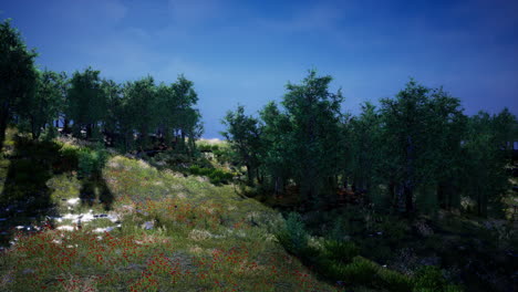 hermoso valle con árboles verdes