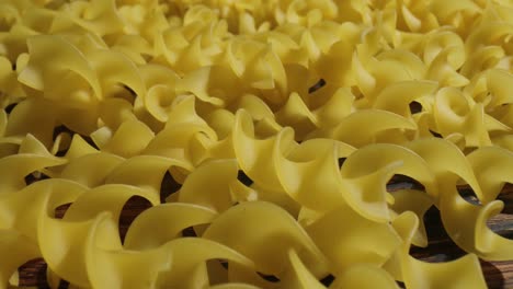 fusilli pasta close-up.