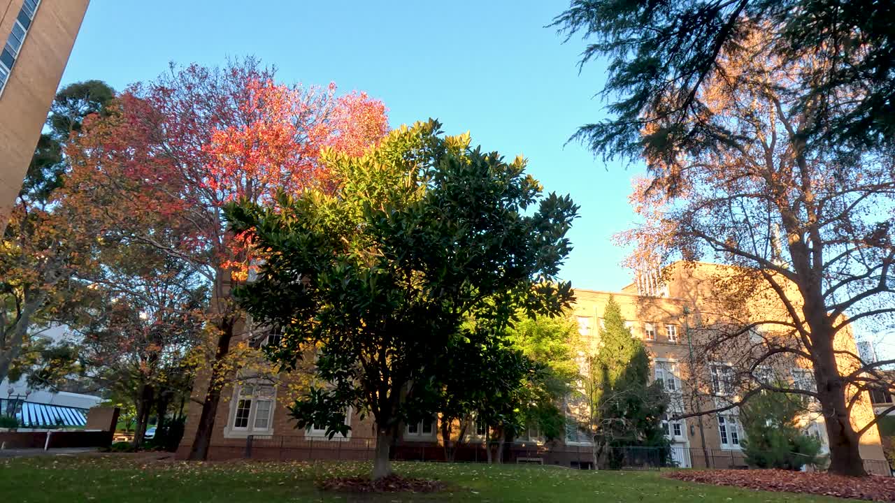 campus universitario con árboles y un edificio