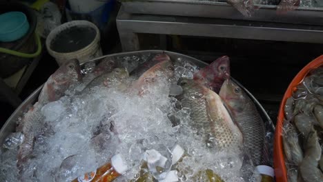 dead fresh tilapia in ice bucket at asian thailand fish market street for sale