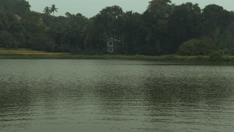 Old-creepy-wooden-house-hidden-in-palm-tree-jungle-on-shore-of-lake