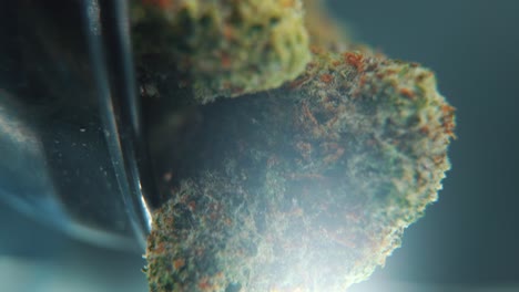 Eine-Vertikale-Makro-Kino-Detailaufnahme-Einer-Cannabispflanze,-Hybridsorten,-Indica-Und-Sativa,-Marihuana-Blume,-Auf-Einem-Um-360-Grad-Drehbaren-Ständer,-Schwarz-Glänzender-Ball,-Zeitlupe,-4K-Video,-Studiolicht