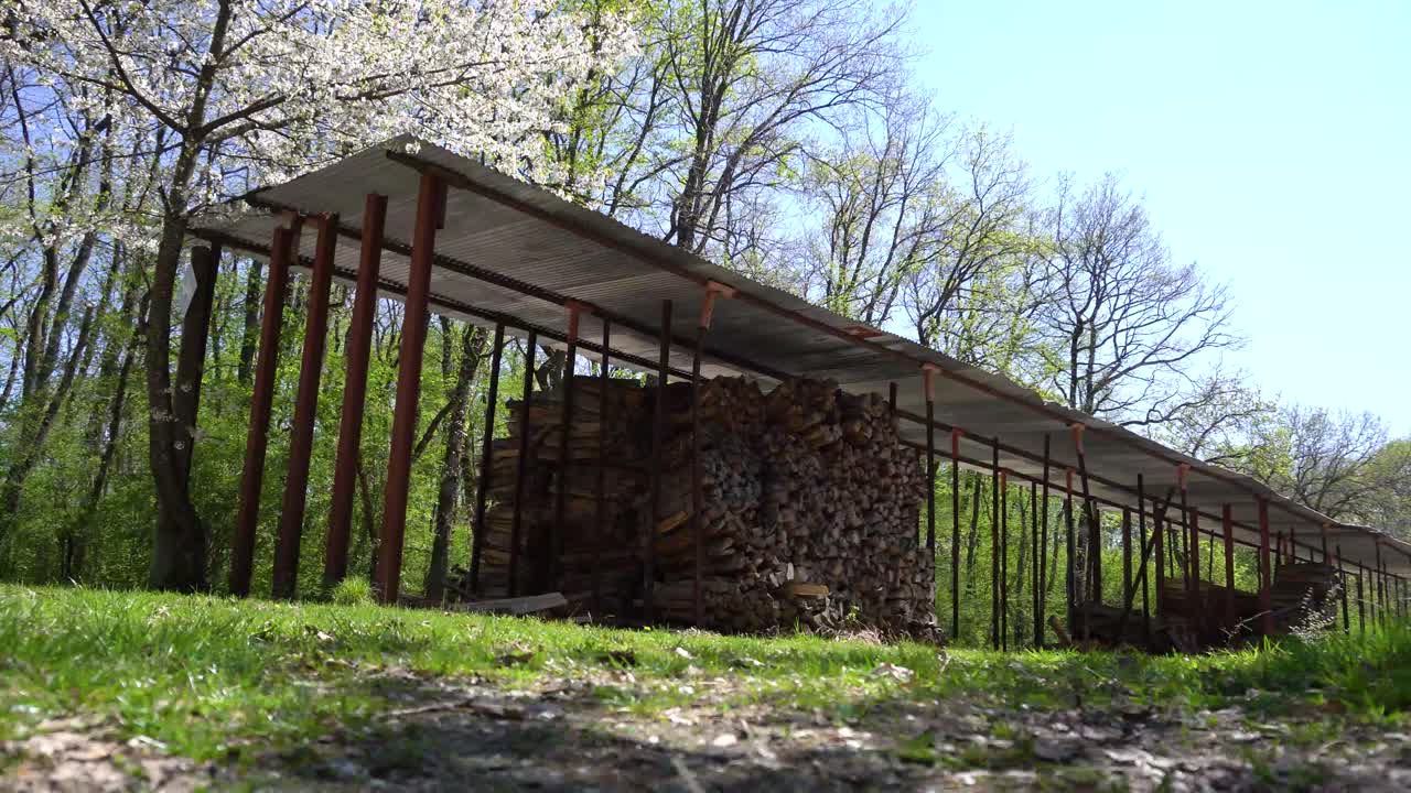 movimiento deslizante de leña apilada en un montón bajo un gran techo de metal con un árbol floreciente blanco al lado