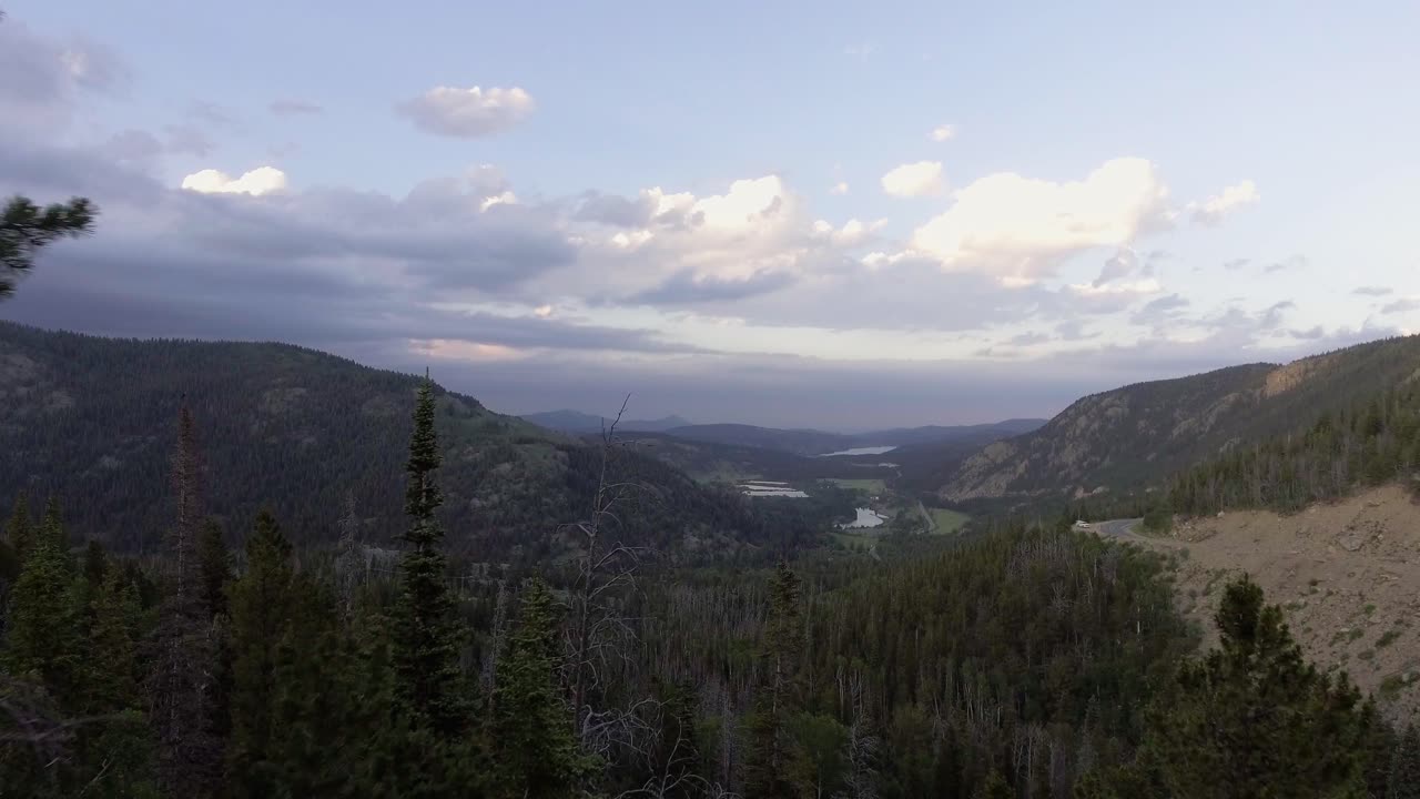 Luftaufnahme durch einen grünen Wald, der sich zu einem Tal voller Bäume öffnet, Colorado-Luftaufnahme von Berglandschaften, Natur aus der Vogelperspektive im Boulder County