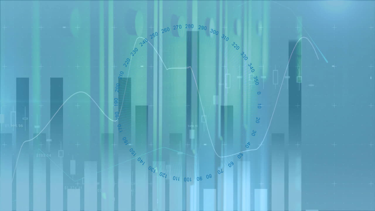 Animation of financial data processing over computer servers