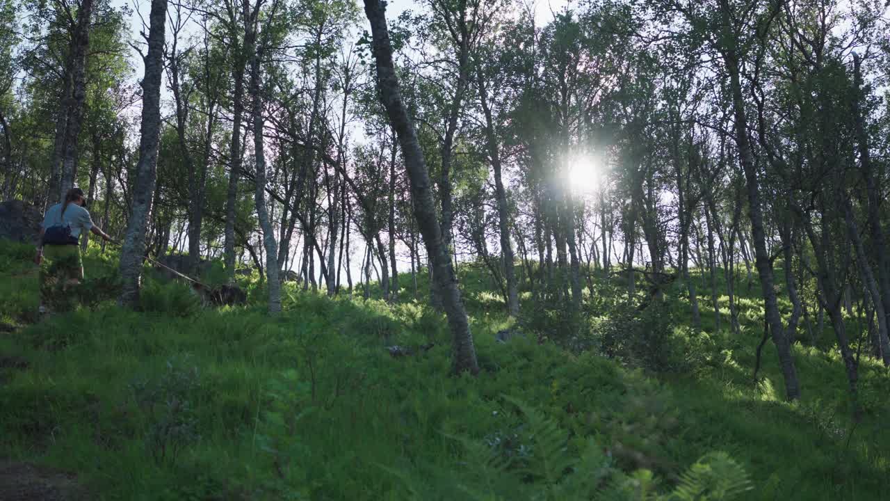 ⁇ 은 아침에 숲 한가운데에서 개와 함께  ⁇ 고 있는 여성