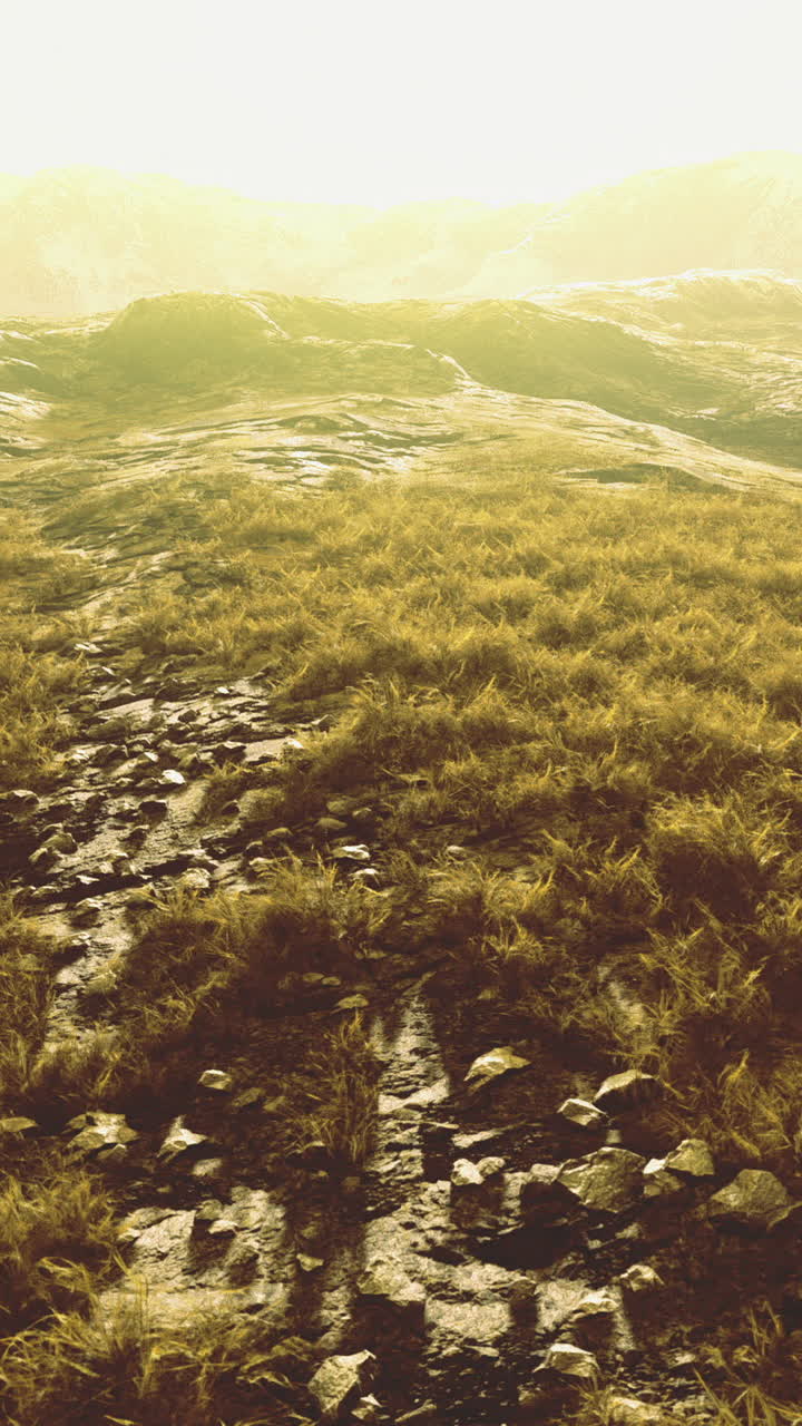 Golden light bathes the grassy dawn revealing natures beauty