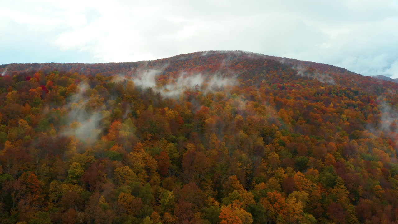 impresionante vista aérea de alto vuelo de los hermosos colores del otoño en nueva inglaterra