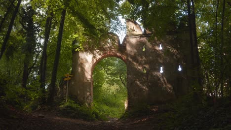 ancient archway ruins in an overgrown forest