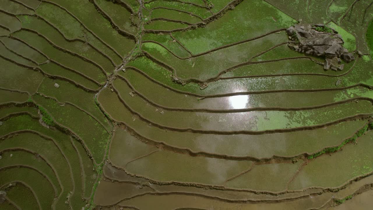 vista aerea de terrazas de arroz