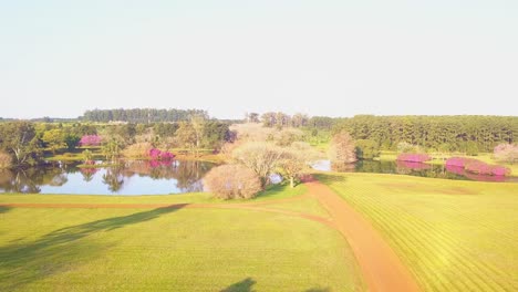 Flight-over-garden-towards-lake-inside-Yerba-Mate-production-industrial-complex-in-Las-Marias,-next-to-the-Ibera-wetlands