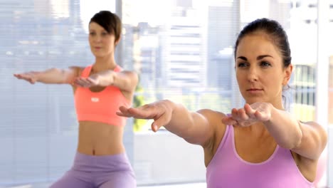 Two-women-doing-fitness-exercises