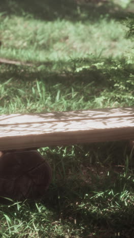 a wooden bench in a peaceful garden