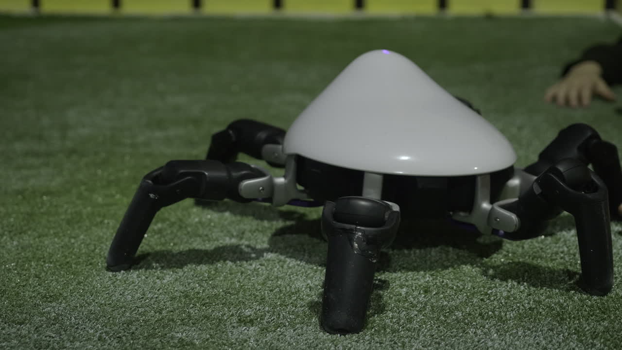 풀 위에 있는 자율적인 거미 로