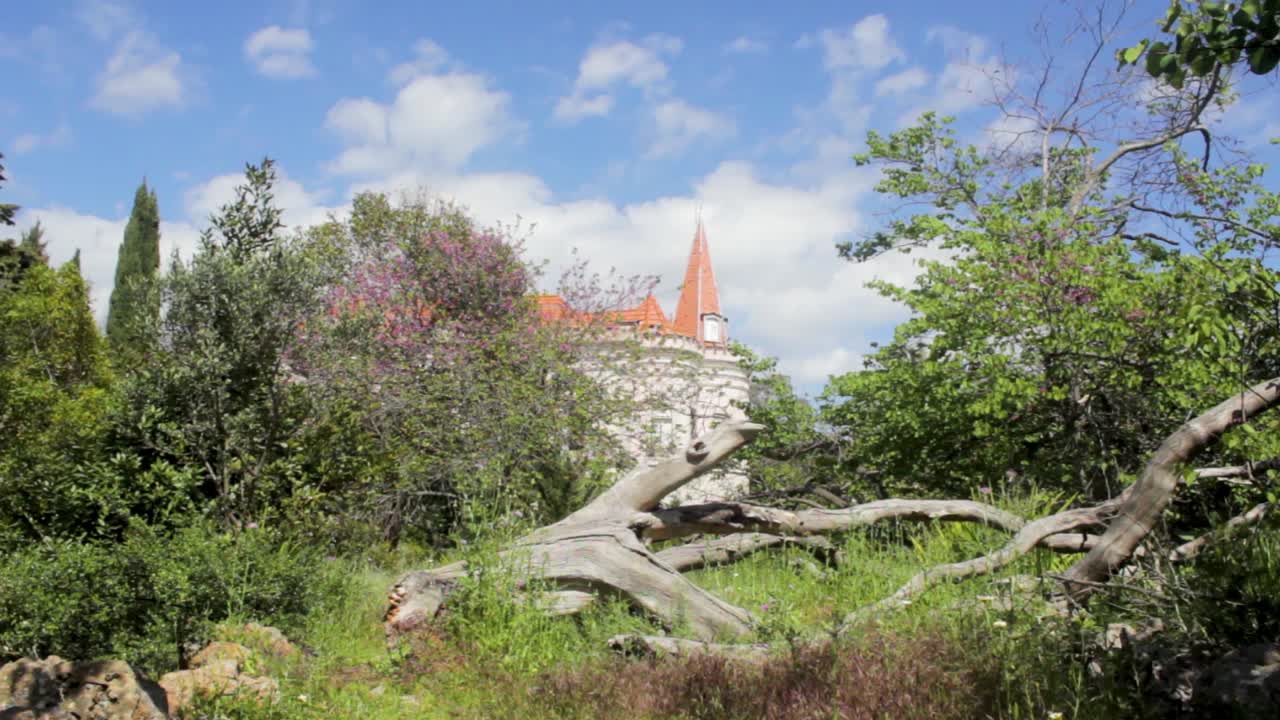 나무로 둘러싸인 버려진 궁전