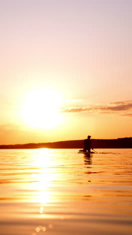 beautiful sunset on the river on summer day. man stands in his knees on sup board rowing by the waterscape. vertical video.