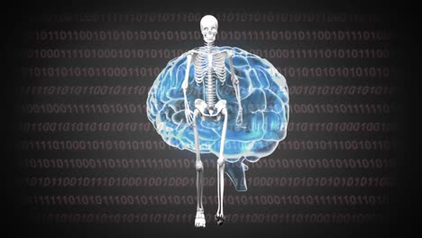 Animation-of-digital-brain-and-skeleton-walking-over-data-processing-on-black-background