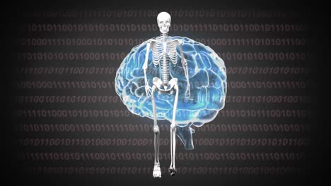 animación del cerebro digital y el esqueleto caminando sobre el procesamiento de datos sobre un fondo negro