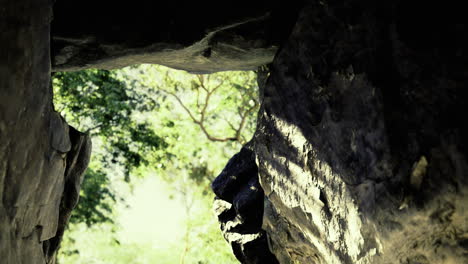 light filtering through a rocky archway invites adventure in a lush forest
