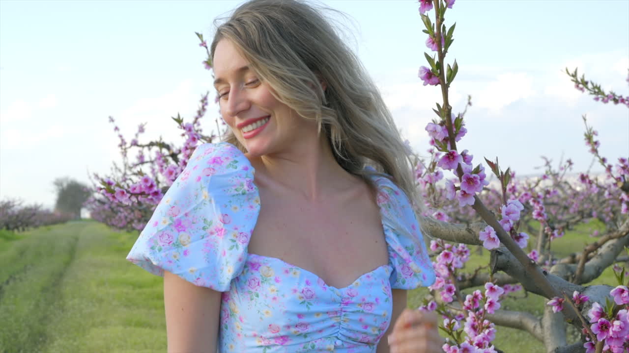 Brunette woman in a blue dress in a field of blooming trees