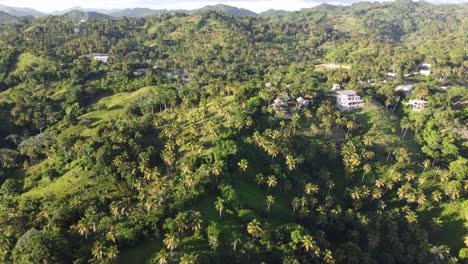 aerial view of the green mountain range of monte rojo above the bay of samaná in the dominican republic