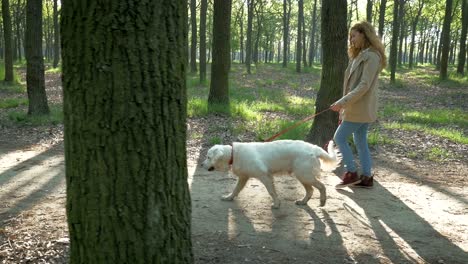 girl with dog walking in park in one spring day, slow motion