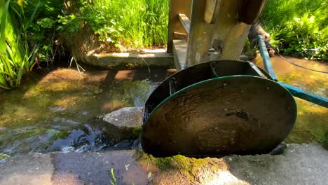 Small-turning-water-wheel,-green-bank-with-grass-and-a-lot-of-meadow,-in-the-background-a-French-bulldog-on-a-leash