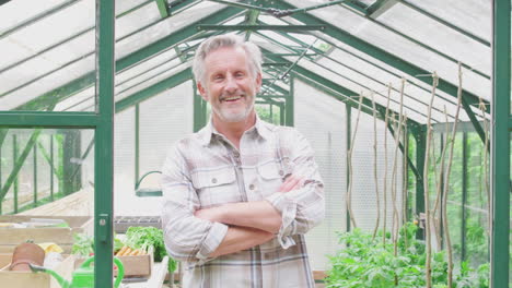 retrato de un hombre mayor cultivando verduras de pie en la puerta del invernadero y doblando los brazos