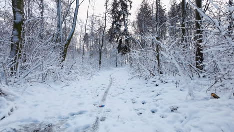 aerial low flying along snow covered path through woodland with single tyre track